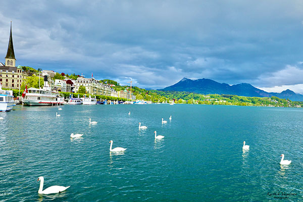 KV98-Lucern-Lake