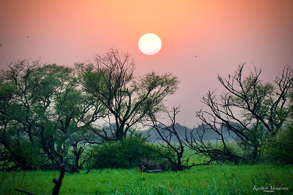 KV99-Sunset-at-Bharathpur