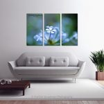 Blue Plumbago_multi canvas