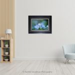 Blue Plumbago_photo frame