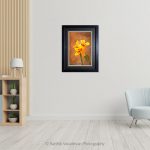 Canna Yellow Orange Flower_photo frame