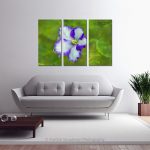 Majestic Violet_multi canvas