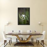 Spider Lilly Dance_canvas