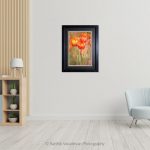 Tulip Hermitage_photo frame