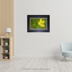 Yellow Flower Profile_photo frame