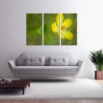 Yellow Flower Profile_multi canvas
