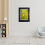 Angel Trumpet_photo frame