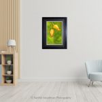 Bell Flower Orange_photo frame