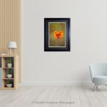 Peacock Flower Fly tex_photo frame