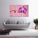 Common Orchid Pink_multi canvas