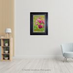 Pink Button Rose_photo frame