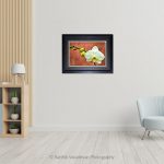 White Orchid_Photo frame
