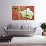 White Orchid_Multi canvas