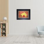 Yellow Orchid_Photo frame