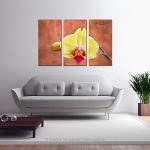 Yellow Orchid_Multi canvas