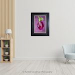 Butterfly Pea Flower Pink_Photo frame