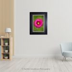 Daliaha Red_Photo frame