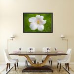 Hibiscus White_Multi canvas