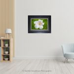 Hibiscus White_Photo frame