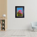 Plumeria Pink_Photo frame