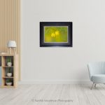 Glossy Shower_Photo frame