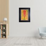 Heliconia_Photo frame