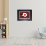 Zarbera White Pink_Photo frame