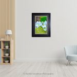 Mantis On Plumeria_Photo frame