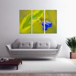 Morning Glory With Golden Dewdrop Leaf_Multi canvas