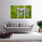 Mushrooms Childs Play_Multi canvas