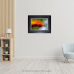 Tricolour_Photo frame
