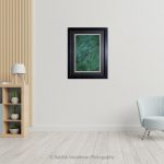 Wild Flower_Photo frame