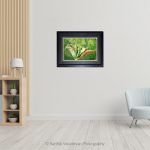 Mother Of Thousands_Photo frame