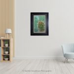 Timble Cacti_Photo frame