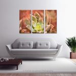 Ghost Plant Ornamental Cacti_Multi canvas