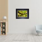 Green Bee Eater_Photo frame