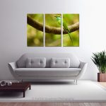 Green Bee Eater_Multi canvas