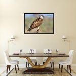 Osprey_Canvas