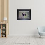 Darter Bird Sunbathing_Photo frame