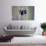 Darter Bird Sunbathing_Multi canvas
