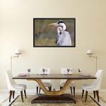 Grey Heron Portrait_Canvas