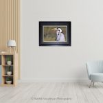 Grey Heron Portrait_Photo frame