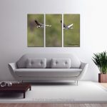 Barr Headed Geese In Flight_Multi canvas