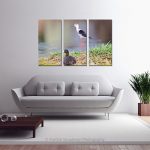 Black Winged Stilt_Multi canvas