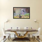 Black Winged Stilt_Canvas