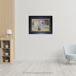 Black Winged Stilt_Photo frame