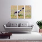 Black Necked Stork_Multi canvas