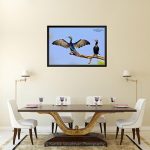 Cormorant Sun Bathing_Canvas