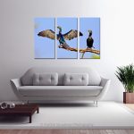 Cormorant Sun Bathing_Multi canvas