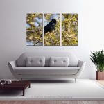 Racquet Tailed Drongo_Multi canvas